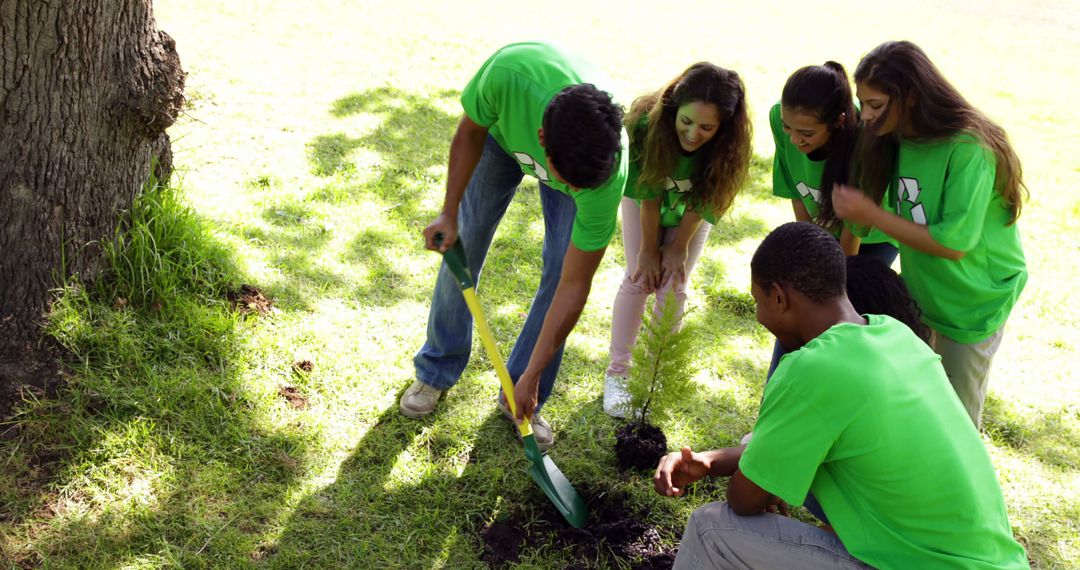 Team of Volunteers Planting a Tree in Urban Park - Free Images, Stock Photos and Pictures on Pikwizard.com