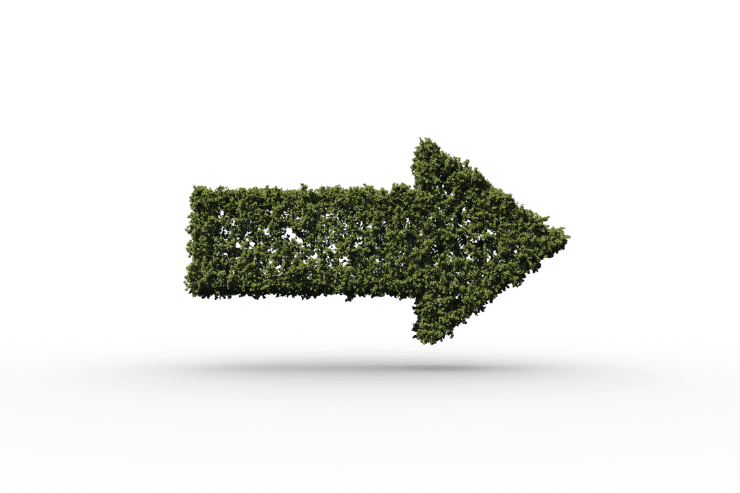 Grass Arrow Indicating Direction on Transparent Background