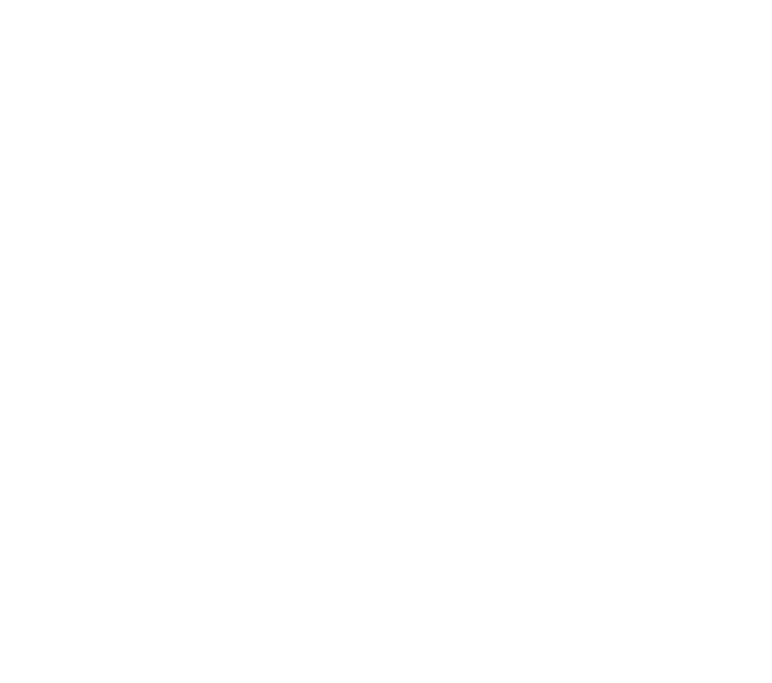 Transparent Holly Leaves with Berries Line Art on Clear Background