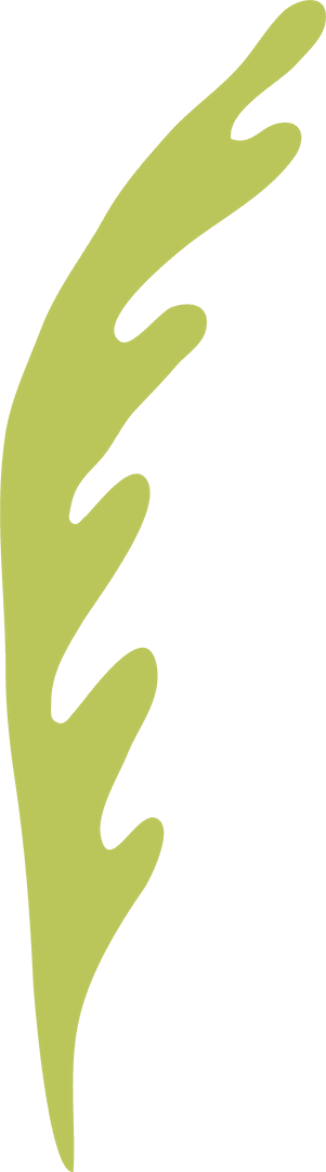 Stylized Leaf Shape in Flat Design on Transparent Background