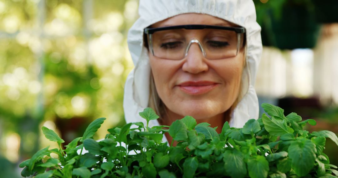 Scientist Examining Green Plants in Laboratory - Free Images, Stock Photos and Pictures on Pikwizard.com