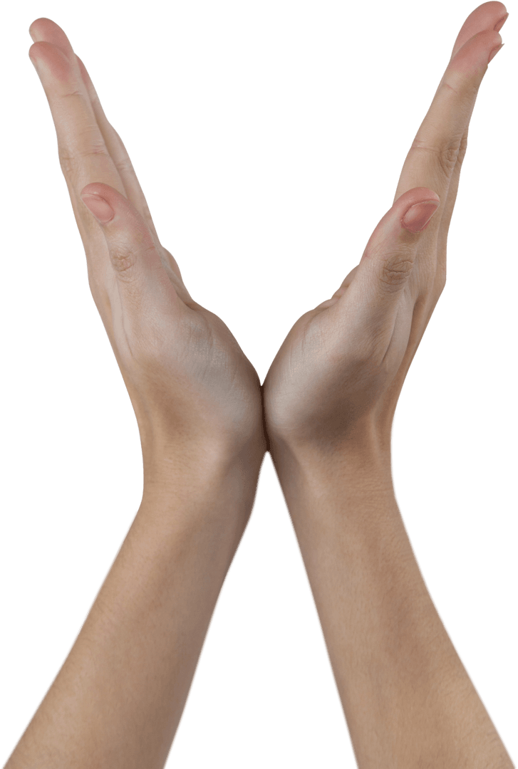 Transparent Hands Palms Up Anti-Isolate Gesture