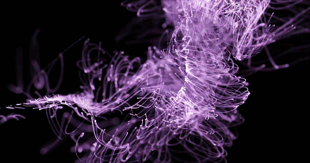 Abstract Purple Light Trails on Black Background Conceptual