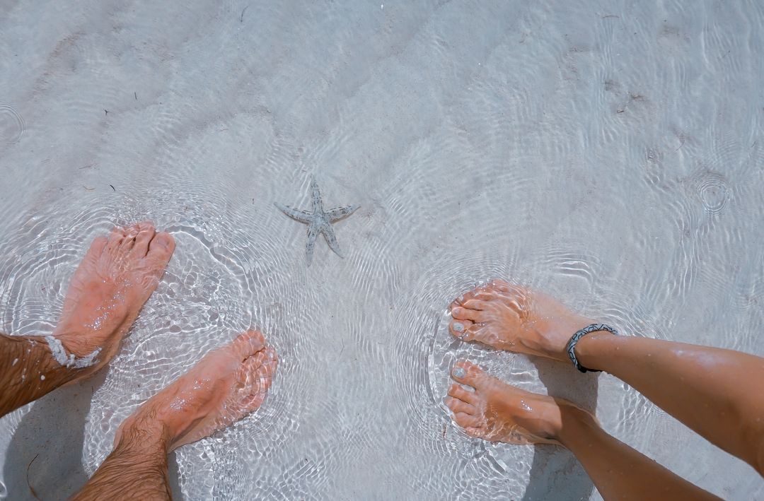 Couple Enjoying Vacation with Starfish in Crystal Clear Water