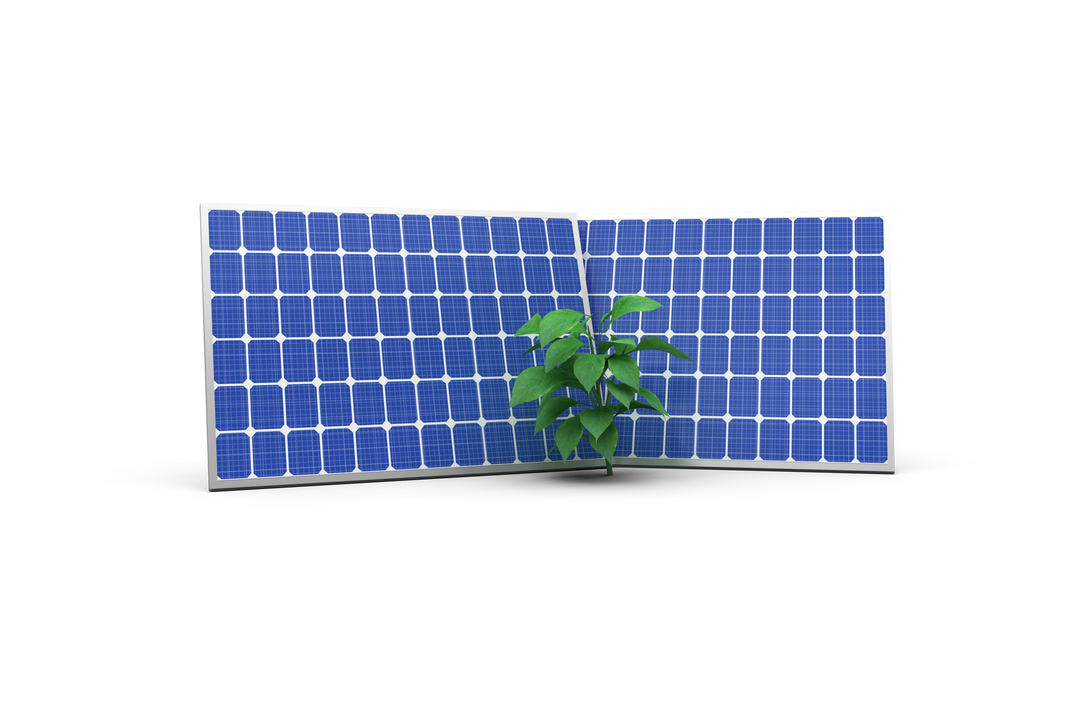 Transparent Solar Panels and Green Plant for Ecology and Technology Concepts - Download Free Stock Images Pikwizard.com