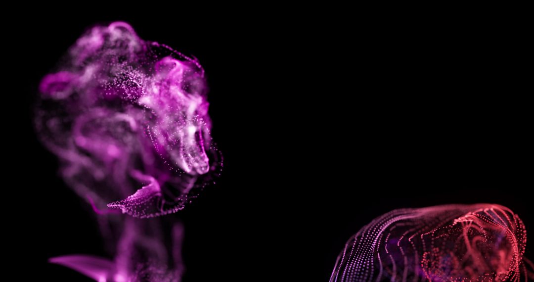 Colorful Abstract Particle Swirls on Black Background