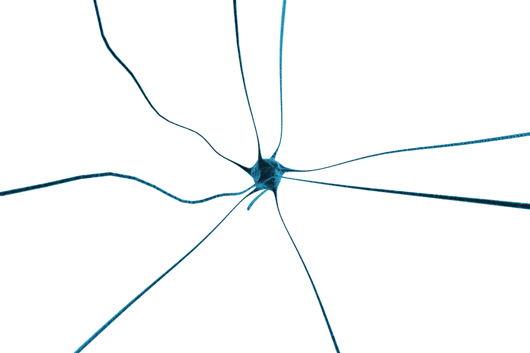 Transparent Neural Plexus Network Concept Illustration