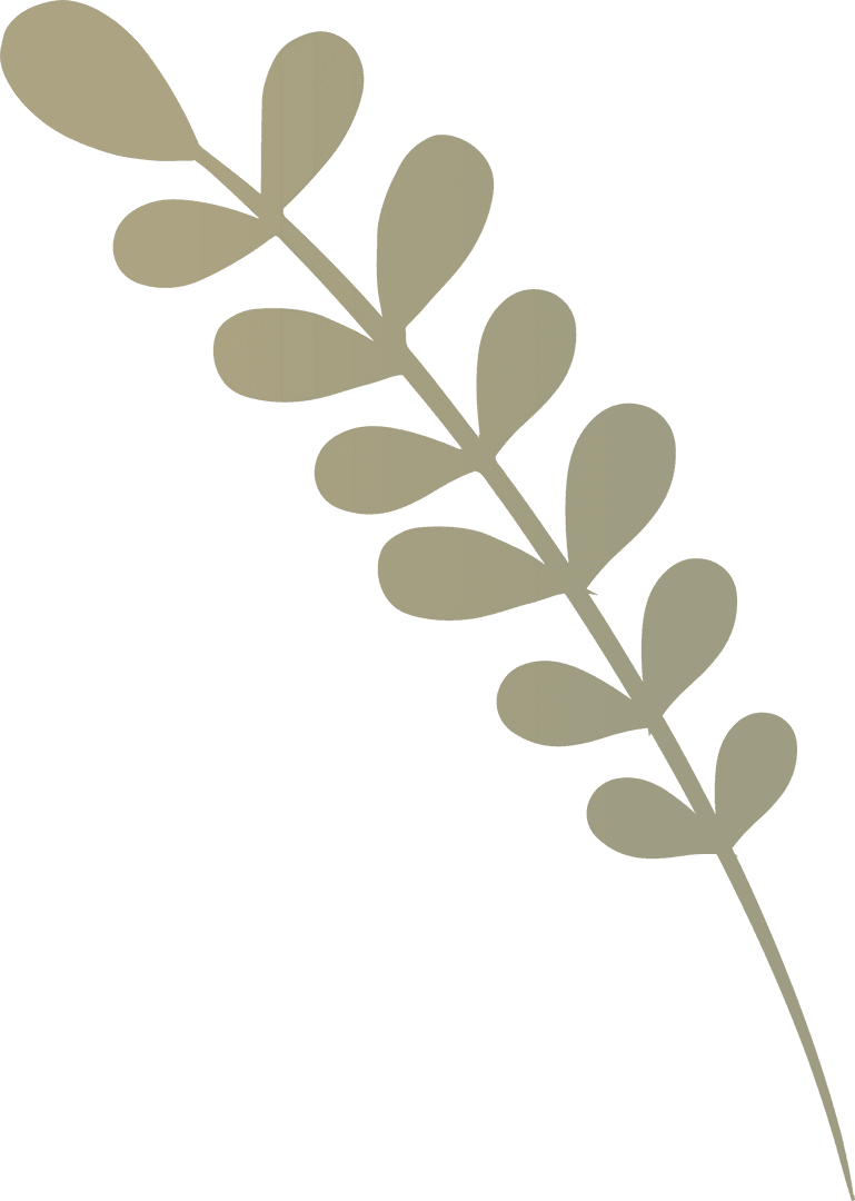 Minimalist Transparent Stylized Plant Branch Illustration