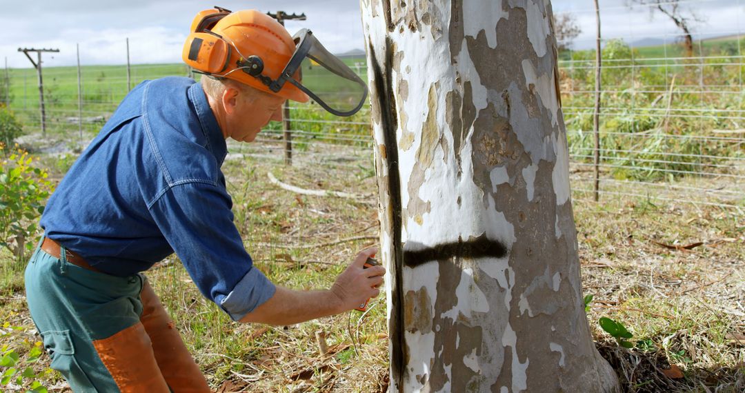 Arborist Marking Tree Trunk for Removal in Countryside - Free Images, Stock Photos and Pictures on Pikwizard.com