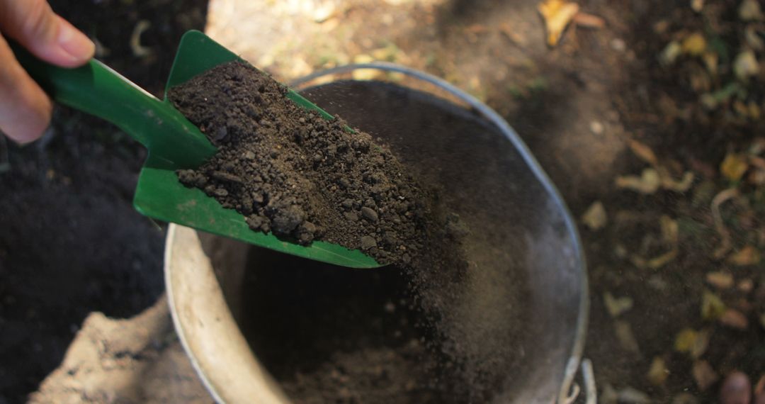 Gardner Transferring Soil with Trowel in Lush Garden