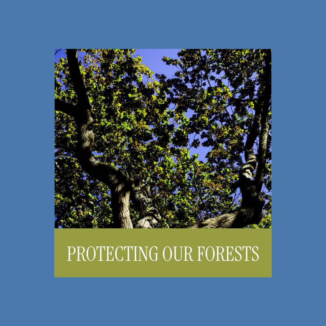 Forests Conservation Awareness with Woodland Canopy View