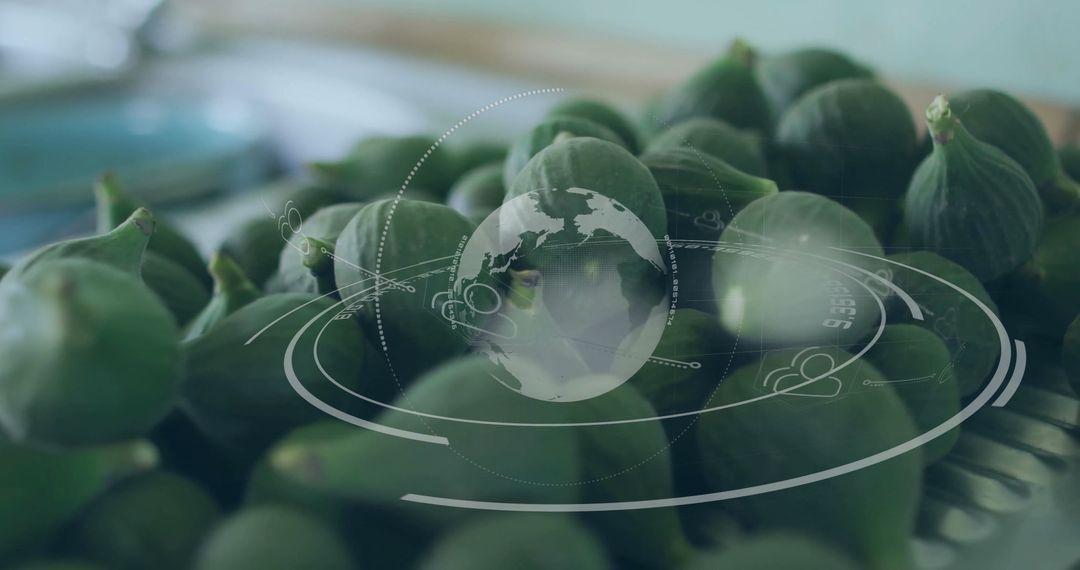 Fresh Green Figs with Digital Agriculture Interface