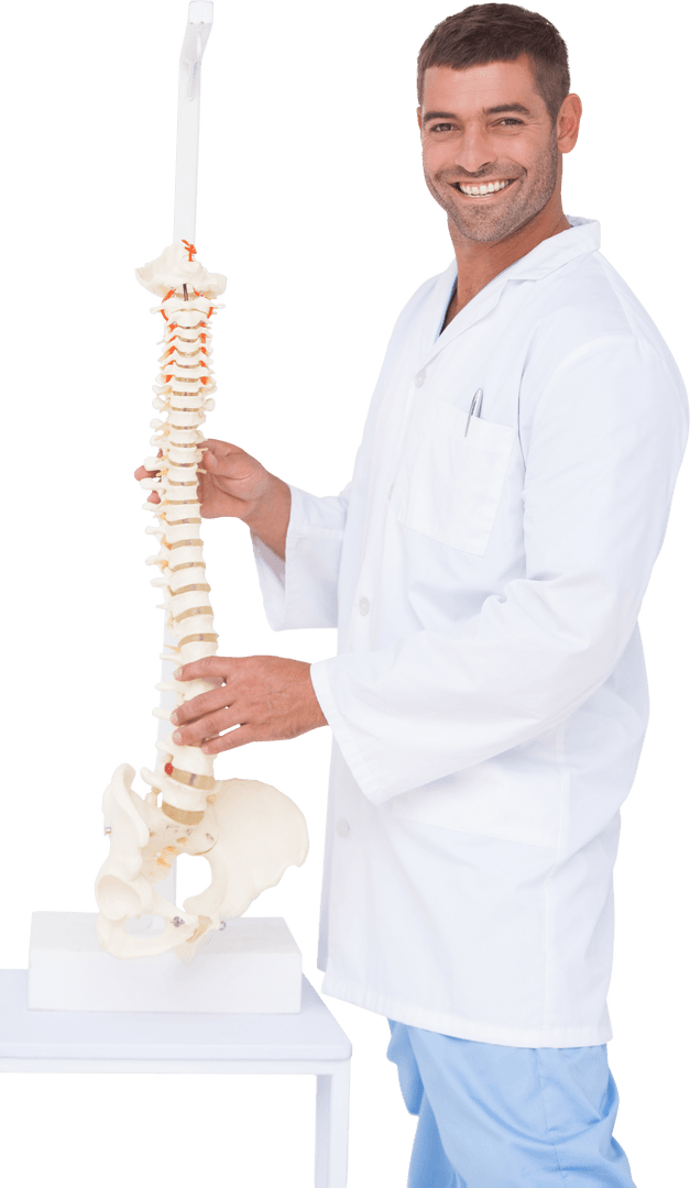 Transparent Background: Chiropractor Demonstrating Spine Model