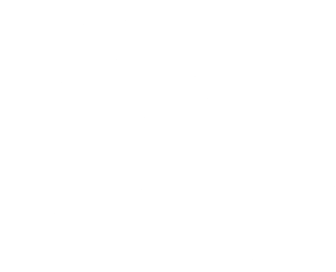 Transparent Silhouette of Woman Sitting with Exercise Ball - Download Free Stock Images Pikwizard.com