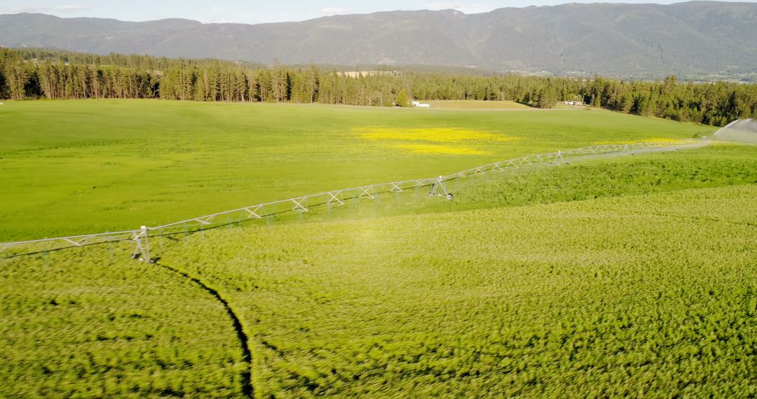 Automated Irrigation System Watering Vast Farmland with Green Crops - Free Images, Stock Photos and Pictures on Pikwizard.com