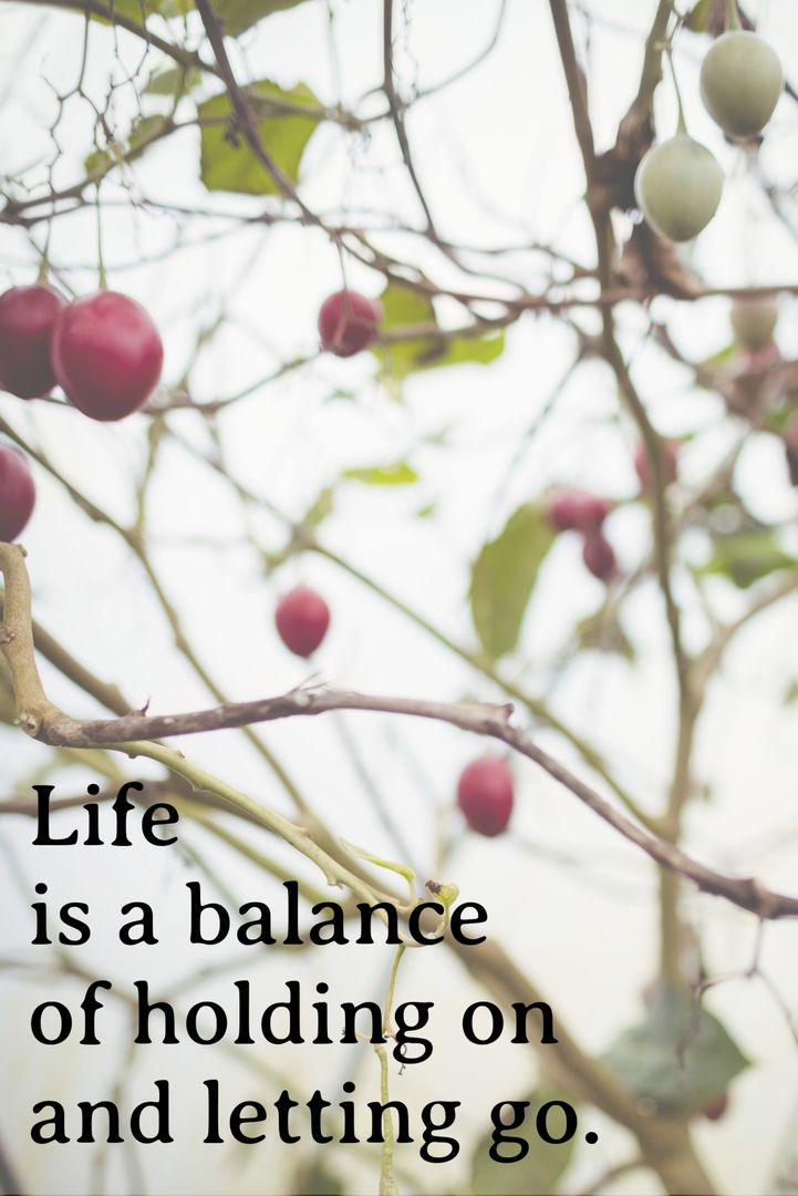 Tranquil Fruit Branch with Inspirational Quote on Balance - Download Free Stock Templates Pikwizard.com