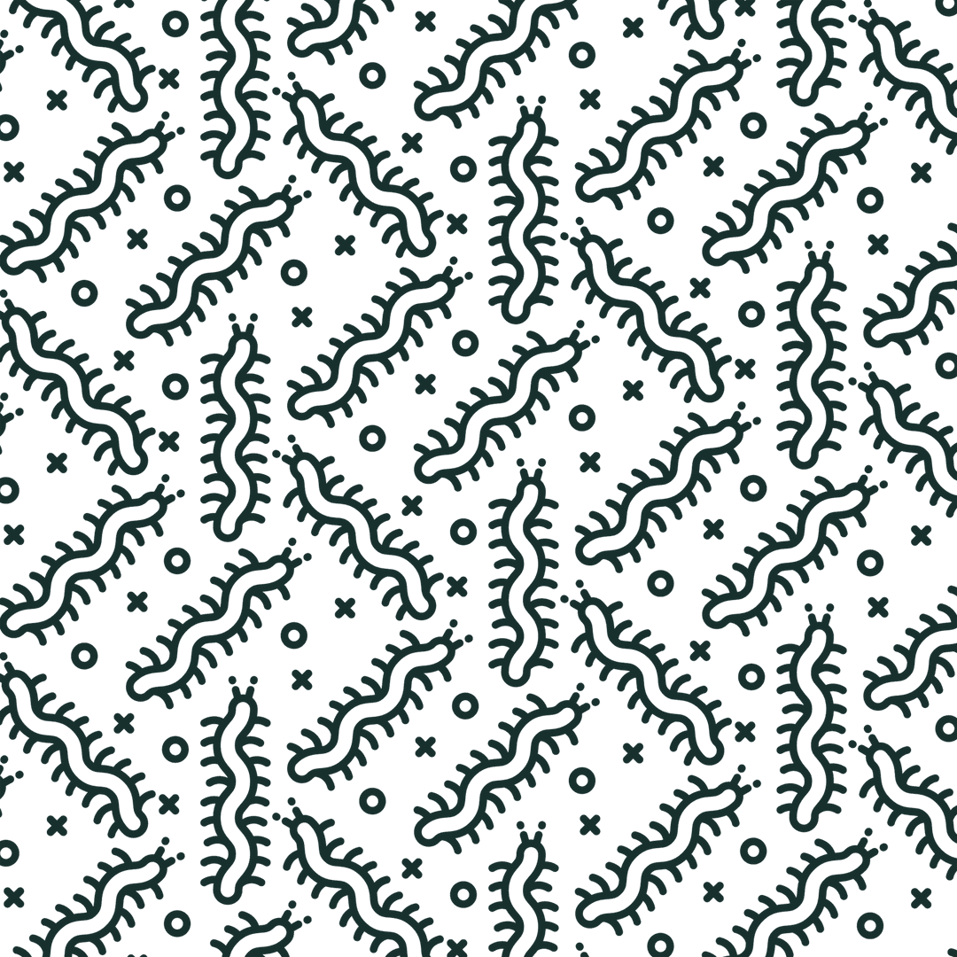 Seamless Black Worms Pattern on Transparent Background for Chic Designs