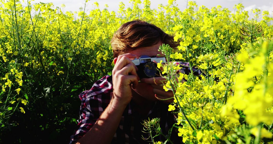 Photographer Capturing Nature Hidden in Yellow Flower Field - Free Images, Stock Photos and Pictures on Pikwizard.com