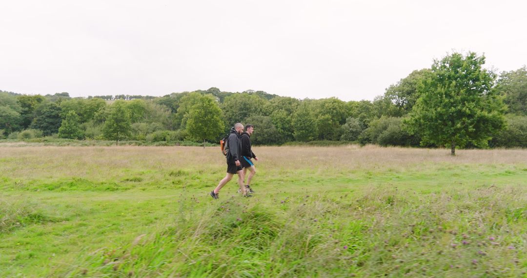 People Strolling Through Lush Green Fields on an Overcast Day