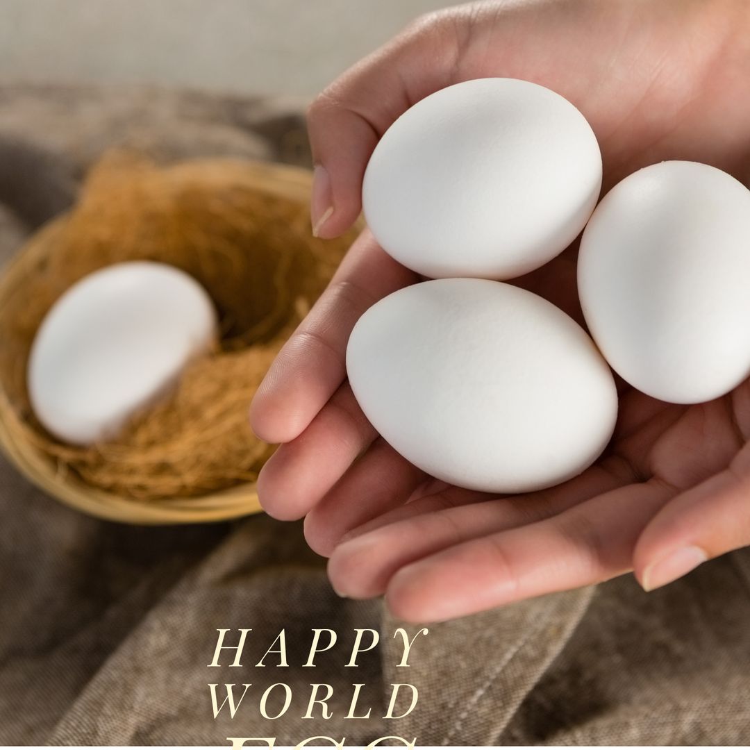 Caucasian Hands Holding White Eggs for World Egg Day - Download Free Stock Templates Pikwizard.com