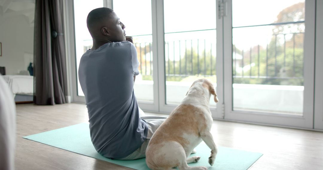 Man practicing yoga indoors with dog on mat in bright morning - Free Images, Stock Photos and Pictures on Pikwizard.com