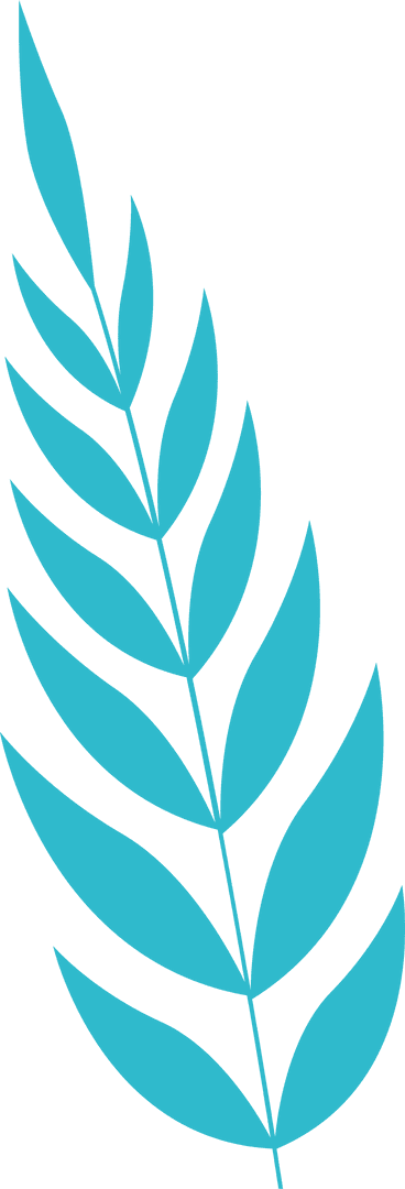 Turquoise Stylized Leaf Branch on Transparent Background