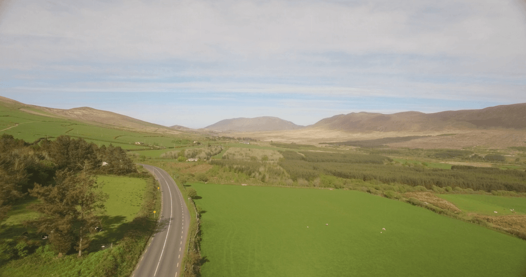 Transparent Rural Road Winding Through Verdant Countryside