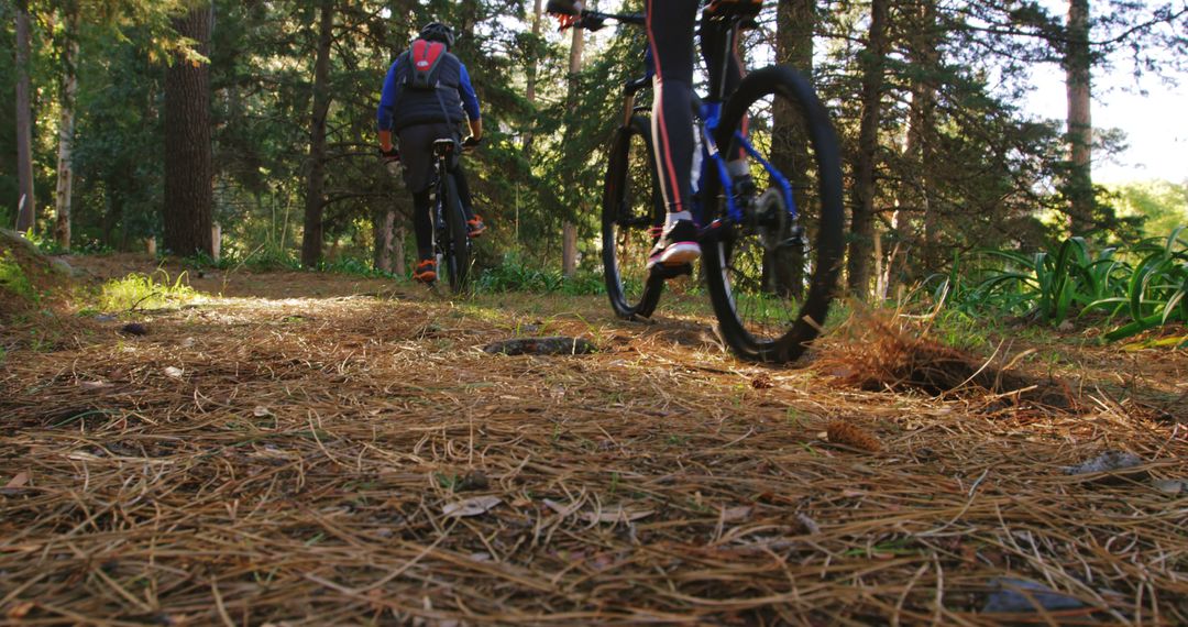 Cyclists Riding Mountain Bikes on Forest Trail in Daylight - Free Images, Stock Photos and Pictures on Pikwizard.com