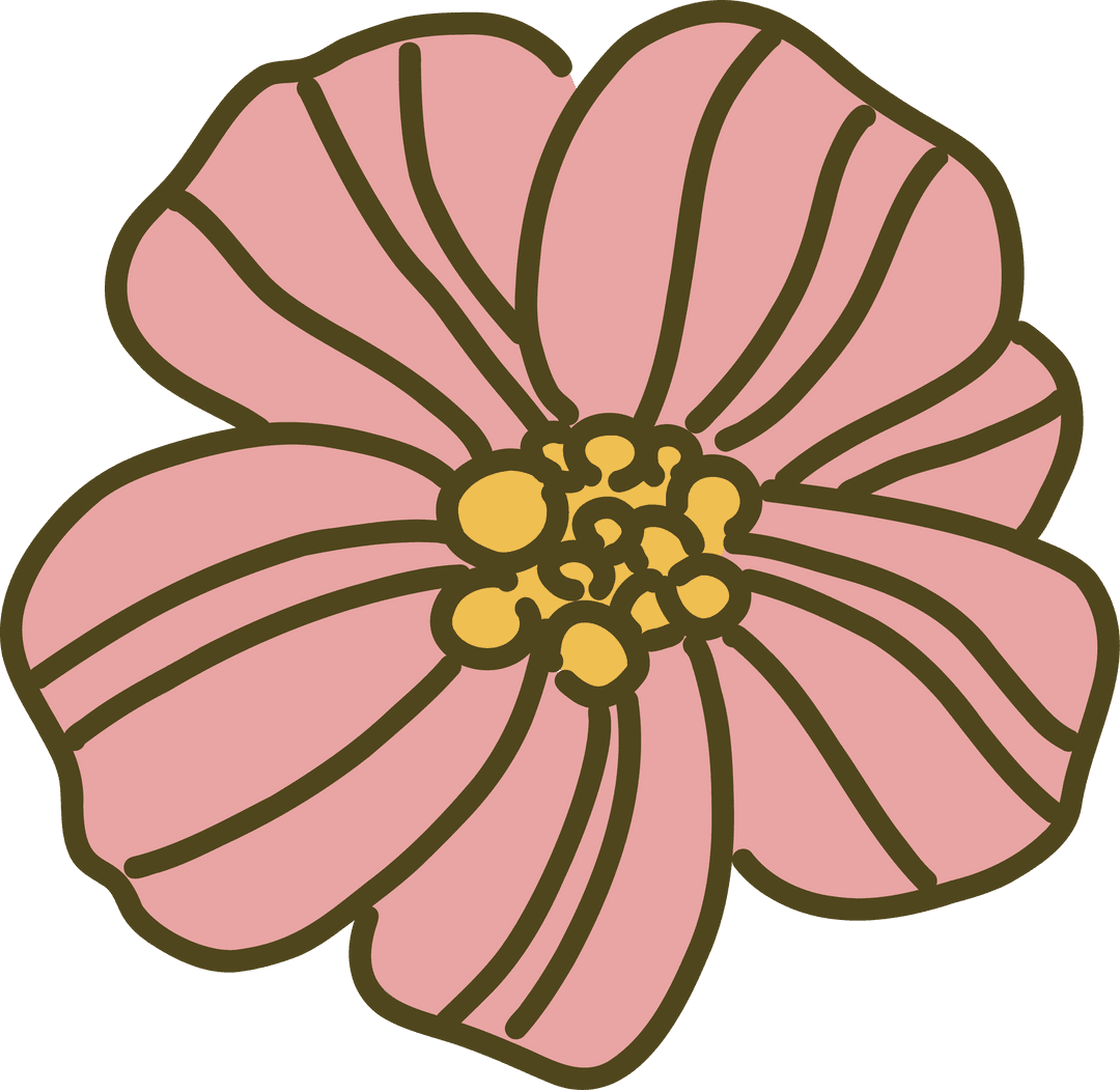 Botanical Illustration of Pink Flower on Transparent Background