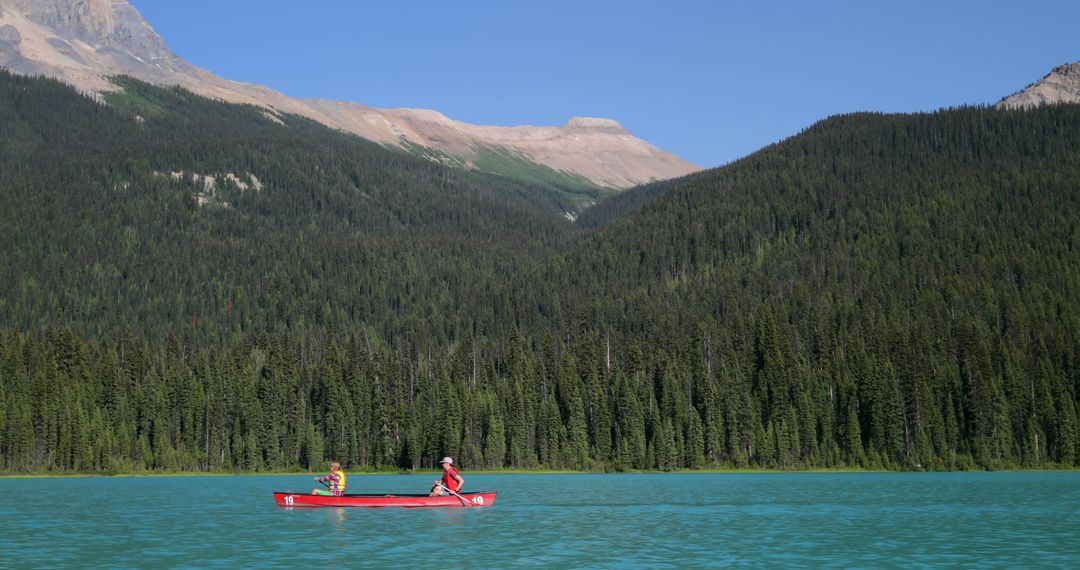 People Canoeing on Mountain Lake Surrounded by Pine Forest - Free Images, Stock Photos and Pictures on Pikwizard.com