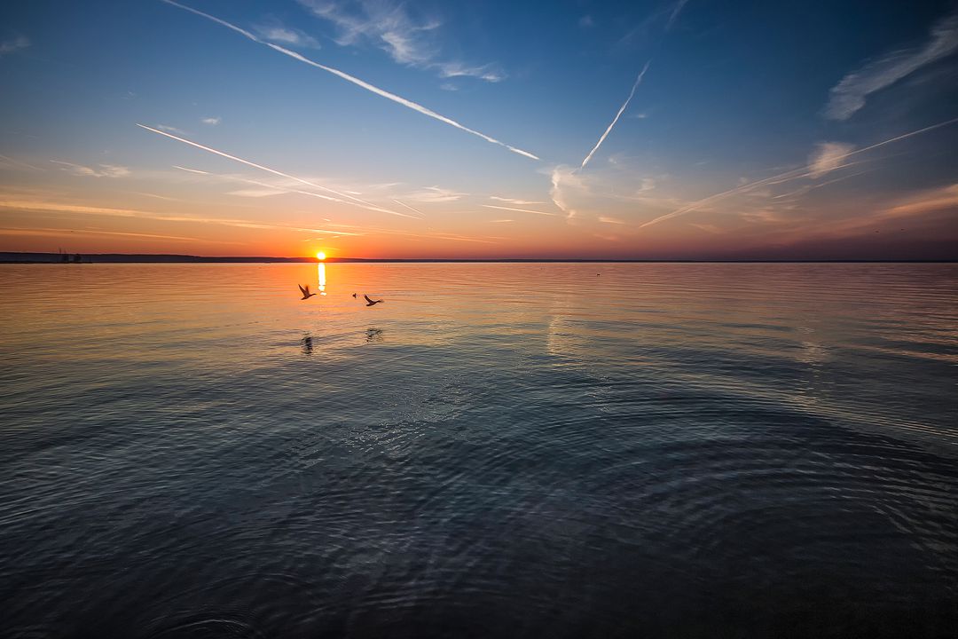 Serene Sunrise Over Calm Sea with Birds Flying - Free Images, Stock Photos and Pictures on Pikwizard.com