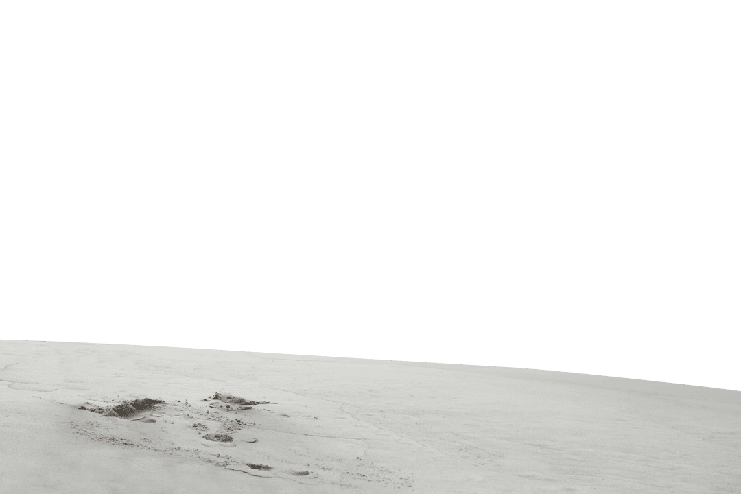 Snowy Landscape on Transparent Background for Winter Themes