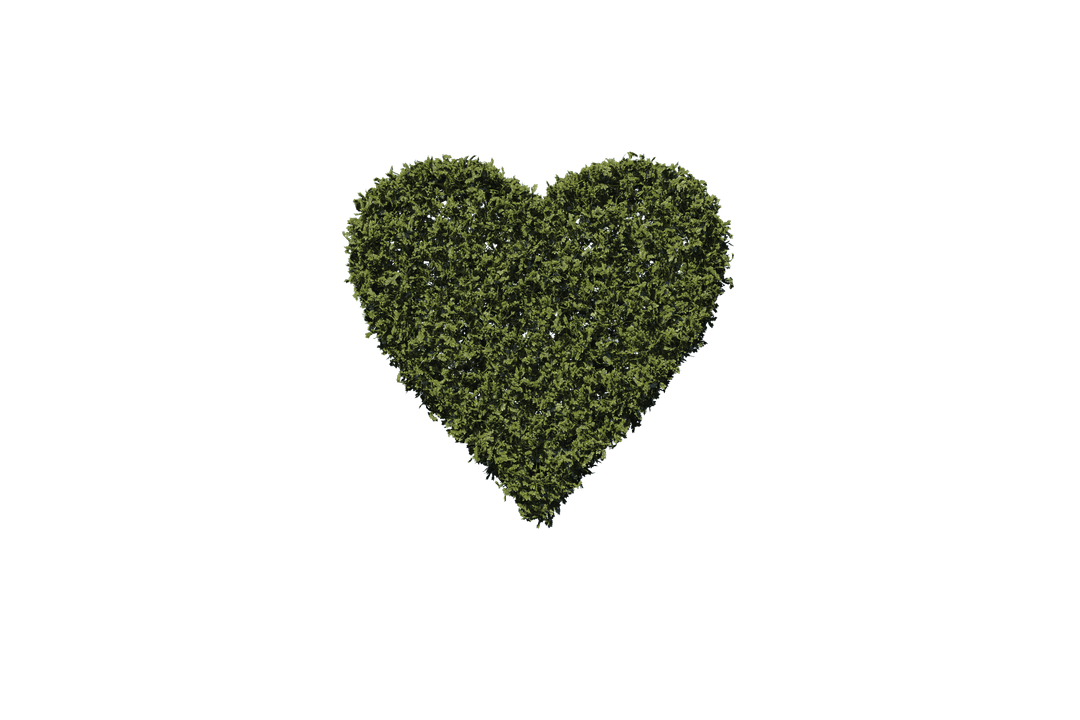 Transparent Heart Shaped Grass Illustration Isolated Nature Themed