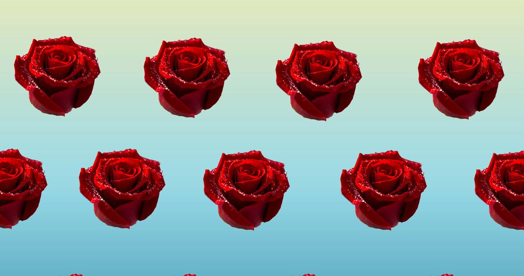 Red Roses Pattern on Gradient Blue Background - Free Images, Stock Photos and Pictures on Pikwizard.com