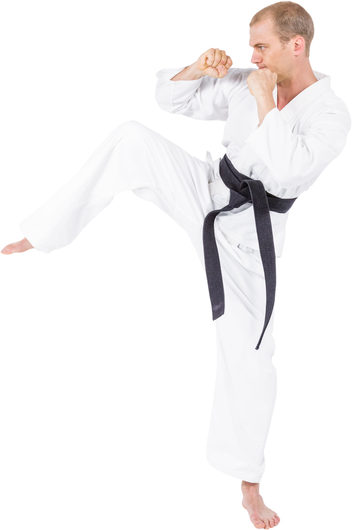 Karate Practitioner Performing Karate Stance Training - Download Free Stock Images Pikwizard.com