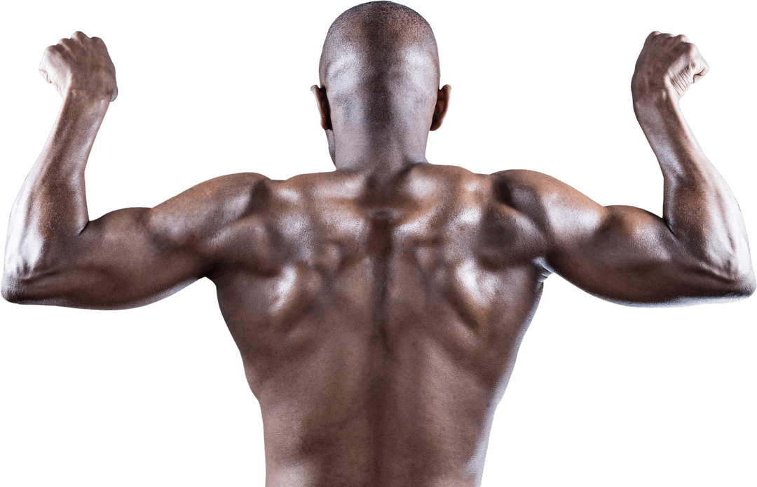 Transparent Strong Athletic Pose Showcasing Muscular Back
