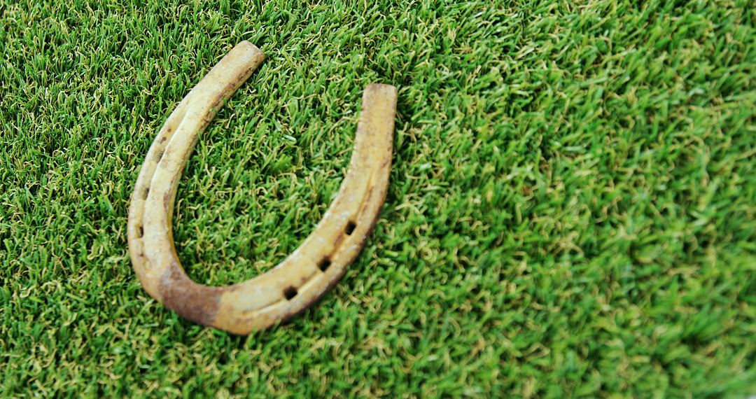 Old Horseshoe Lying on Fresh Green Grass - Free Images, Stock Photos and Pictures on Pikwizard.com