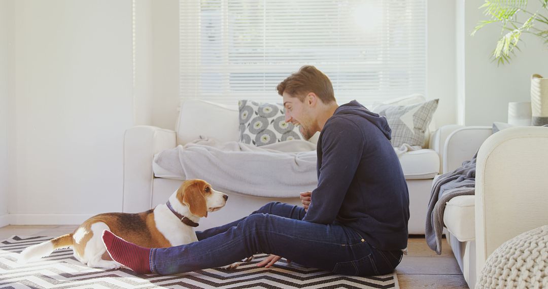 Young Man Playing with Beagle Dog in Bright Living Room - Free Images, Stock Photos and Pictures on Pikwizard.com