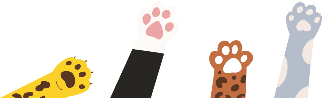 Cartoon Cat Paws with Colorful Patterns and Transparent Background