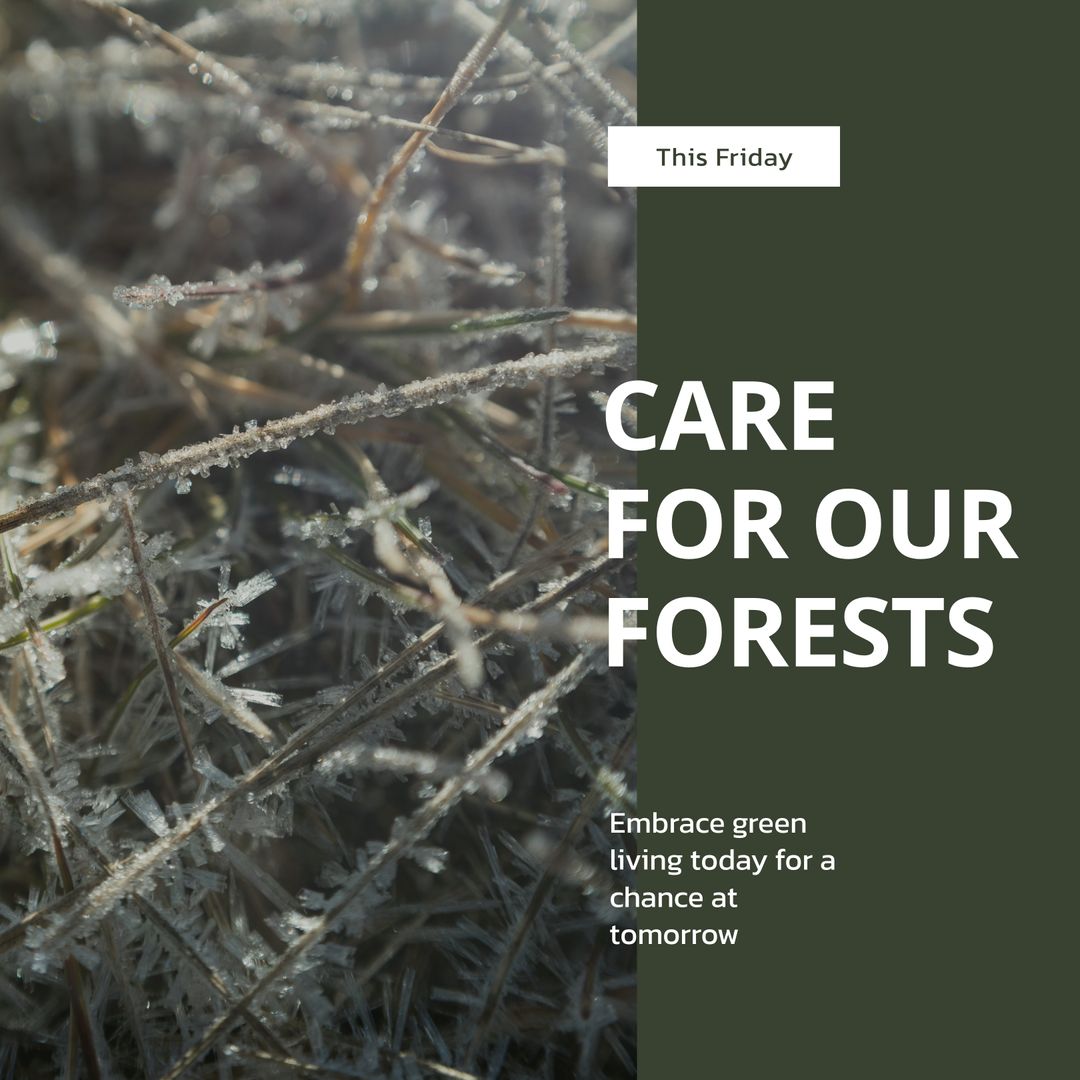 Frosty Branches and Forest Conservation Awareness Message