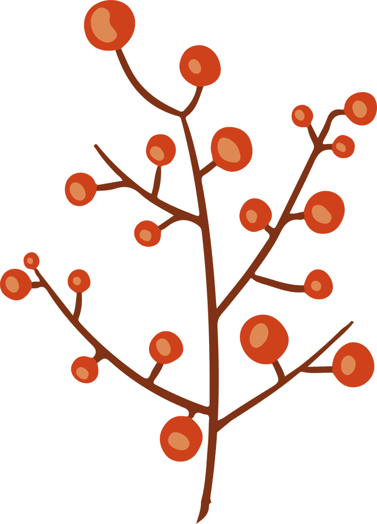 Botanical Branch with Red-Orange Berries Transparent Background