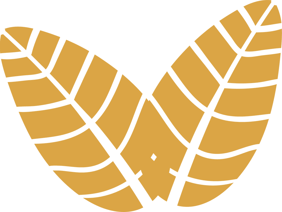 Art Deco Gold Leaves in V Shape on Transparent Background