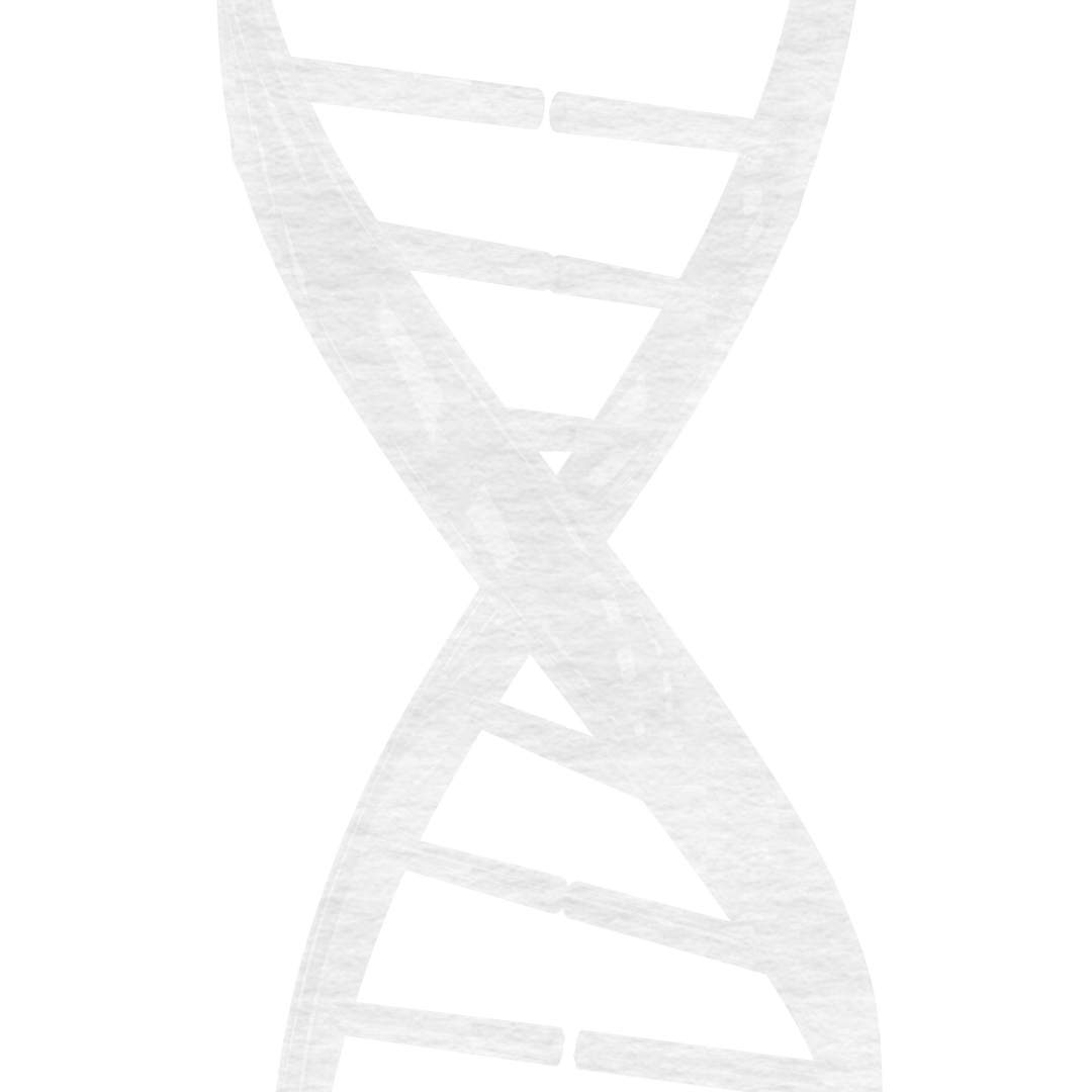 Transparent Double Helix DNA Structure with Close-Up Details - Download Free Stock Images Pikwizard.com