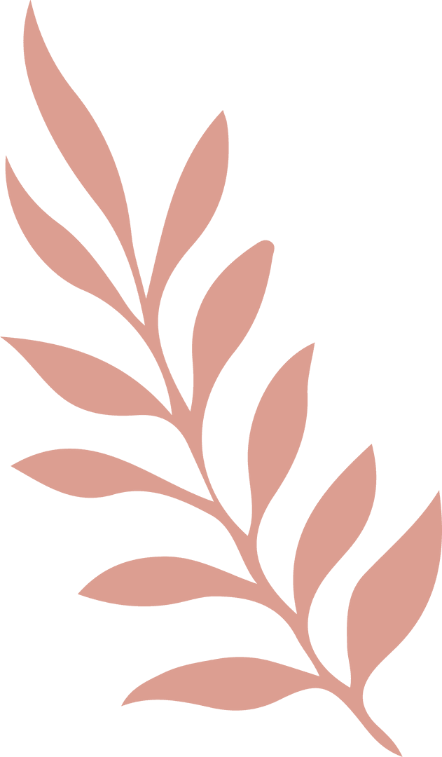 Transparent Background Salmon Pink Botanical Branch Vector