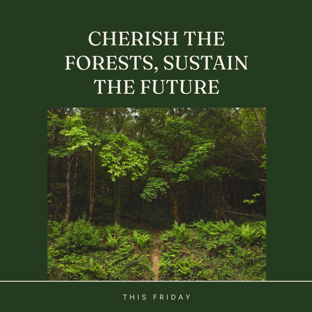 Nature Conservation Awareness with Lush Greenery in Forest