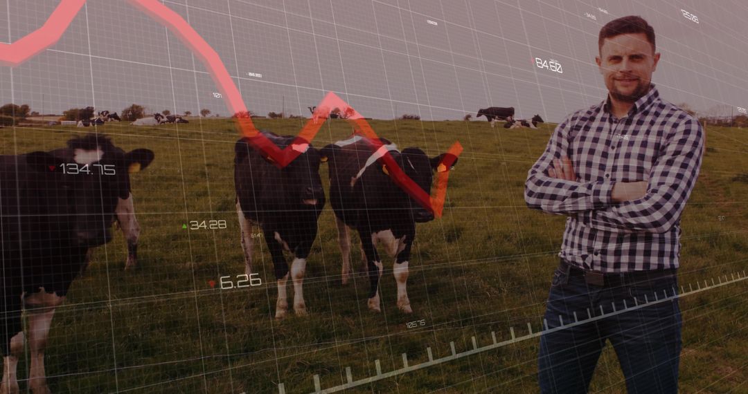 Farmer analyzing dairy herd performance with digital data overlay on pasture