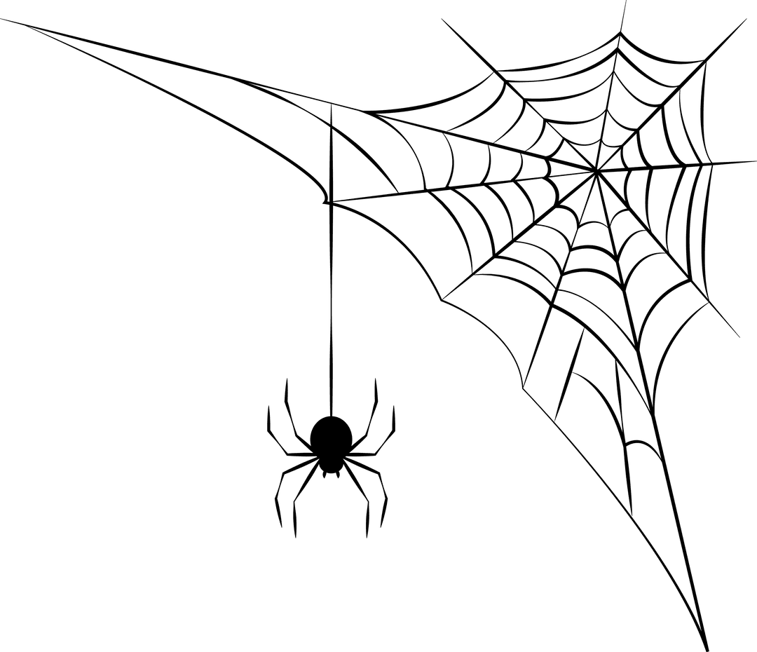 Transparent Black Spider Vector with Web on Isolated Background