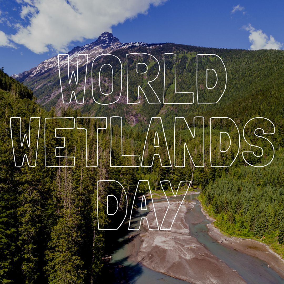 Majestic Wetland Mountainous Landscape for Environmental Awareness