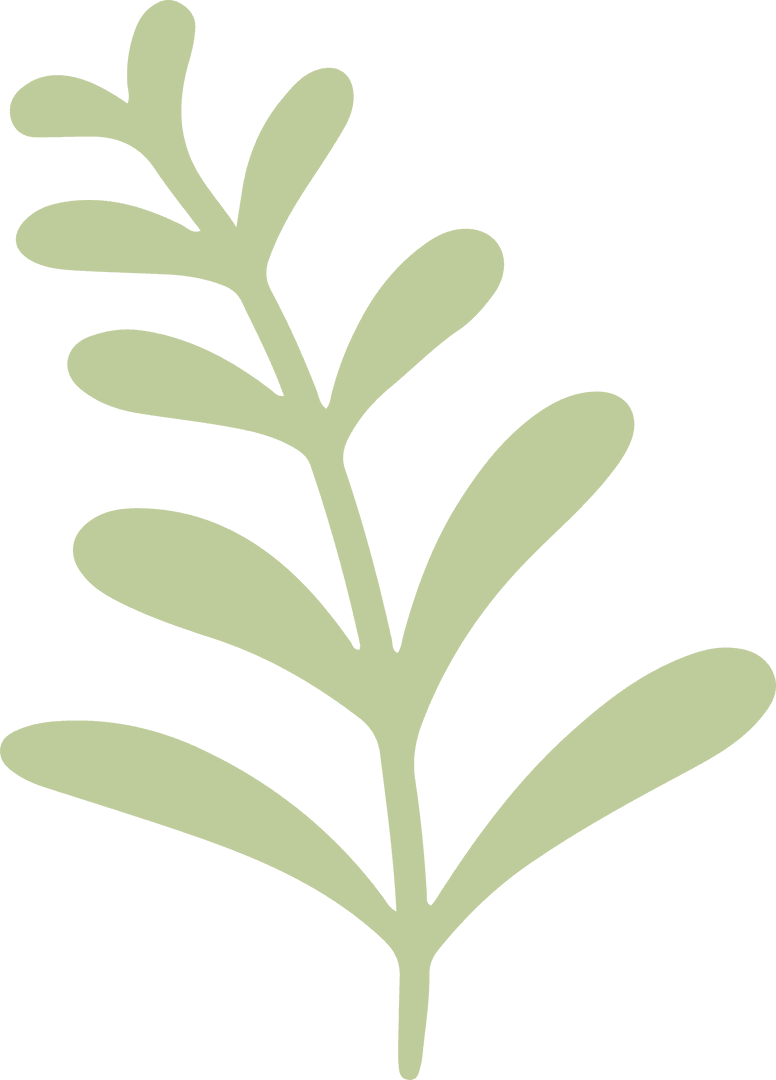 Minimalist Pale Green Botanical Leaf on Transparent Background