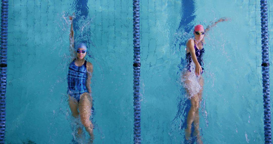 Two Female Swimmers Backstroking in Competition Pool - Free Images, Stock Photos and Pictures on Pikwizard.com